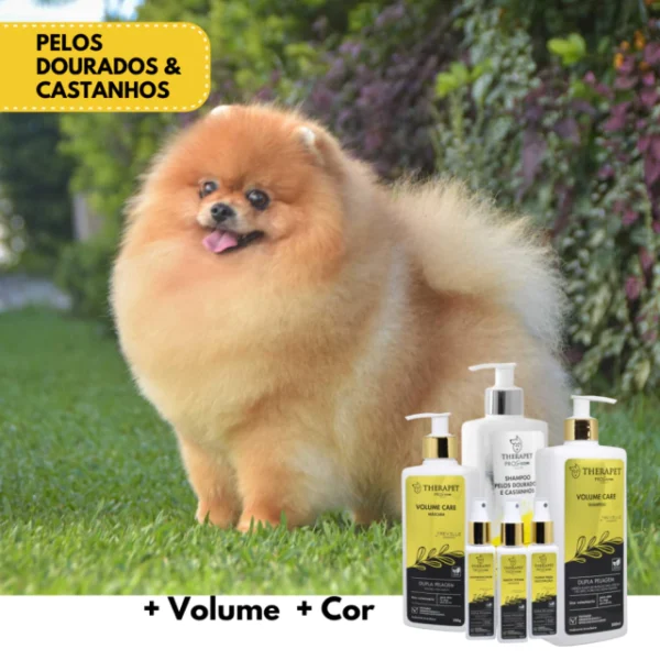 KIT Banho Completo - Pelos dourados e castanhos - Imagem 2
