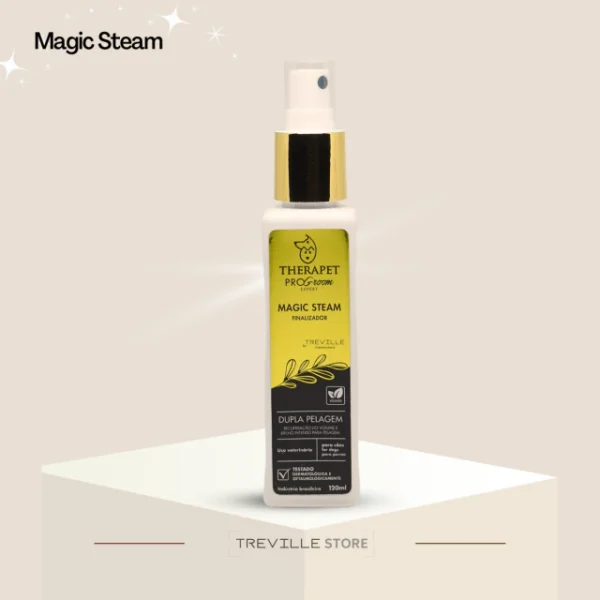 Magic Steam - Finalizador